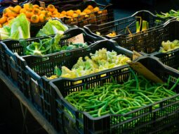 Supply Chain