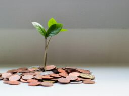 The Profit Edge Unlocking Business Growth Through Smart Inventory Management
