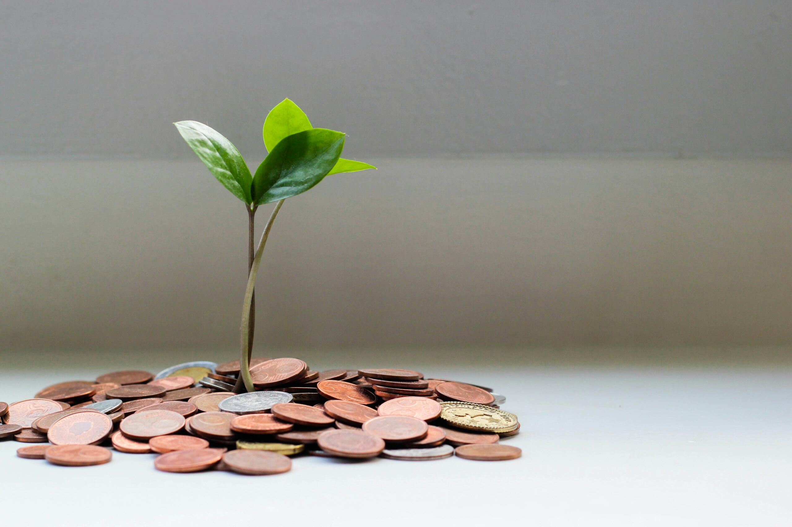 The Profit Edge Unlocking Business Growth Through Smart Inventory Management