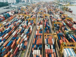 William Alvarez-Supply Chain Management