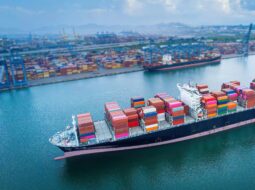 Supply Chain